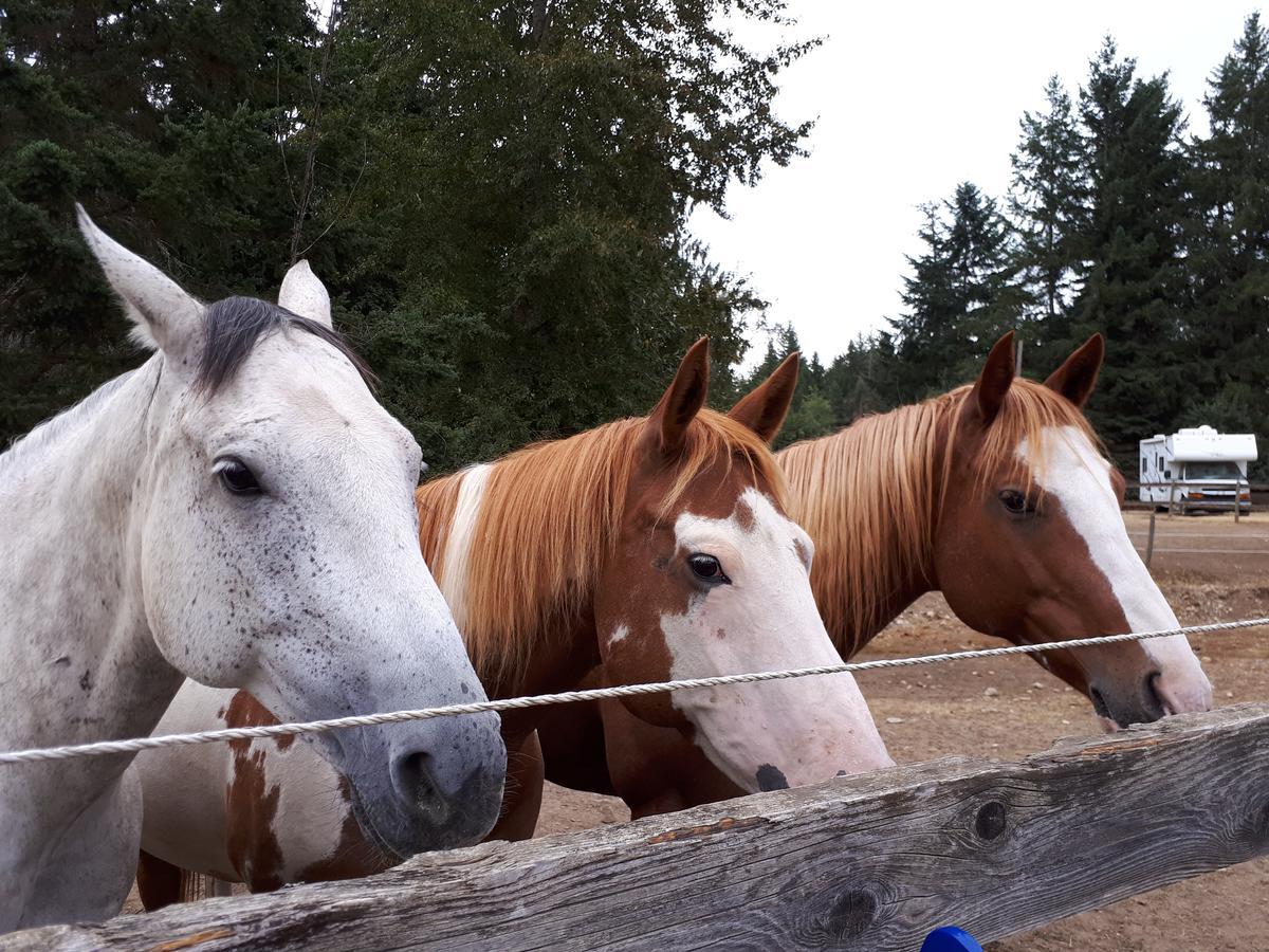 Paradise Acres Ranch 나누스베이 외부 사진