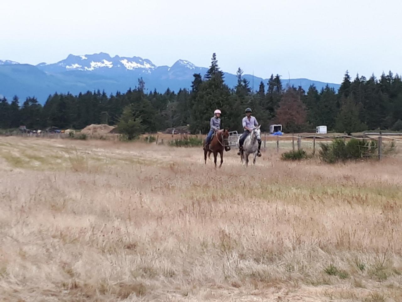 Paradise Acres Ranch 나누스베이 외부 사진